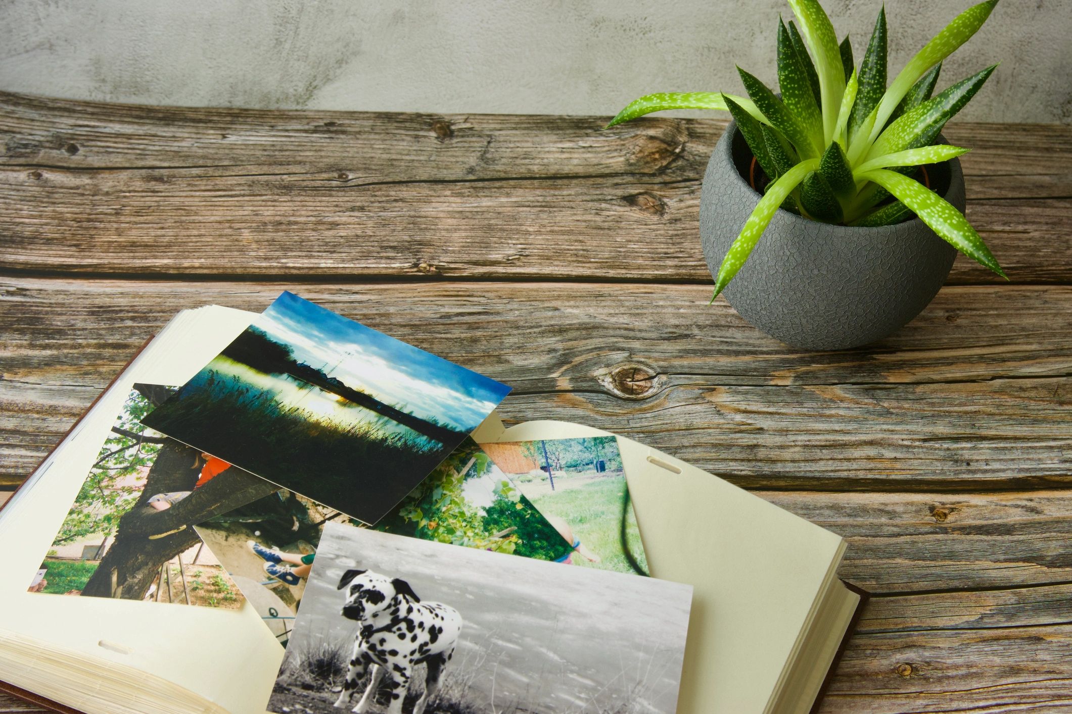 Photo album and printed photographs symbolizing preserved family memories